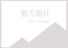 重庆紫山材料有限公司